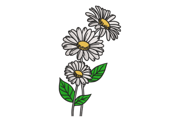 Download Sketch Daisy Trio – Modern Botanical - Modern botanical Collection