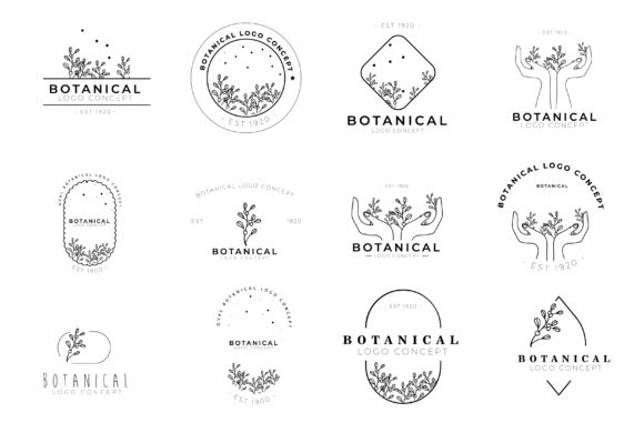Download Modern Botanical Minimal Logo - Modern botanical Collection