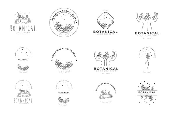 Download Modern Botanical Hand Drawn Floral Logo - Floral Collection